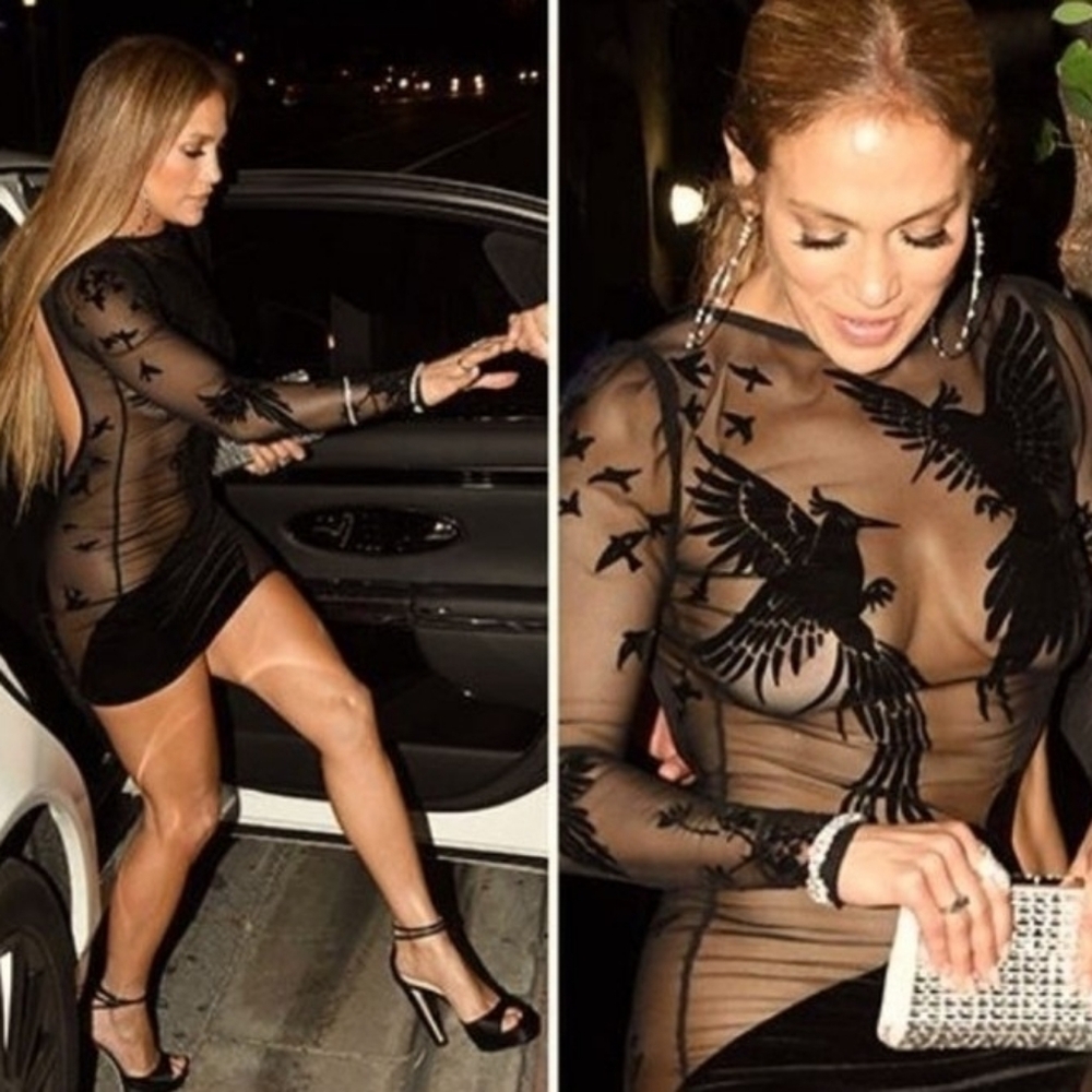 Fashion Nova Phoenix Dress With Mesh And Velour NWT